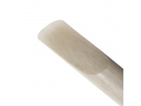 Daddario VENN Alto Saxophone Reed, G2, Strength 3.0+ Daddario VENN Alto Saxophone Reed, G2, Strength 3.0+